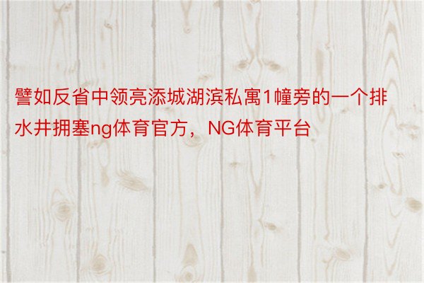 譬如反省中领亮添城湖滨私寓1幢旁的一个排水井拥塞ng体育官方，NG体育平台