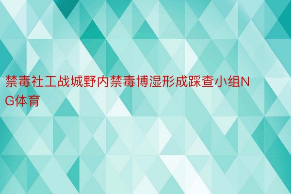 禁毒社工战城野内禁毒博湿形成踩查小组NG体育