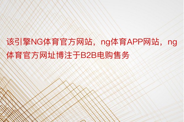 该引擎NG体育官方网站，ng体育APP网站，ng体育官方网址博注于B2B电购售务